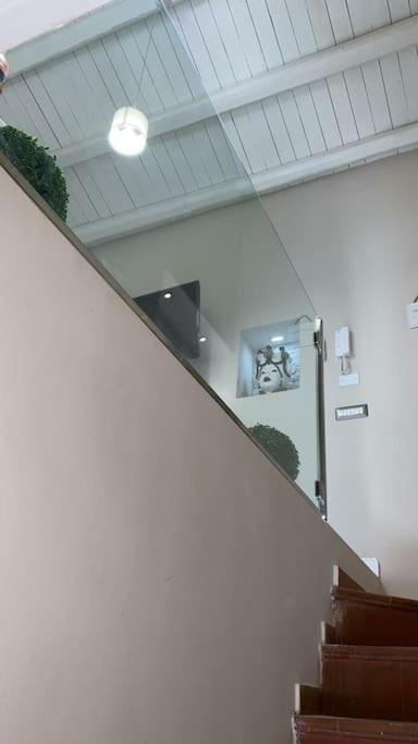 Apartment Demma Luxury